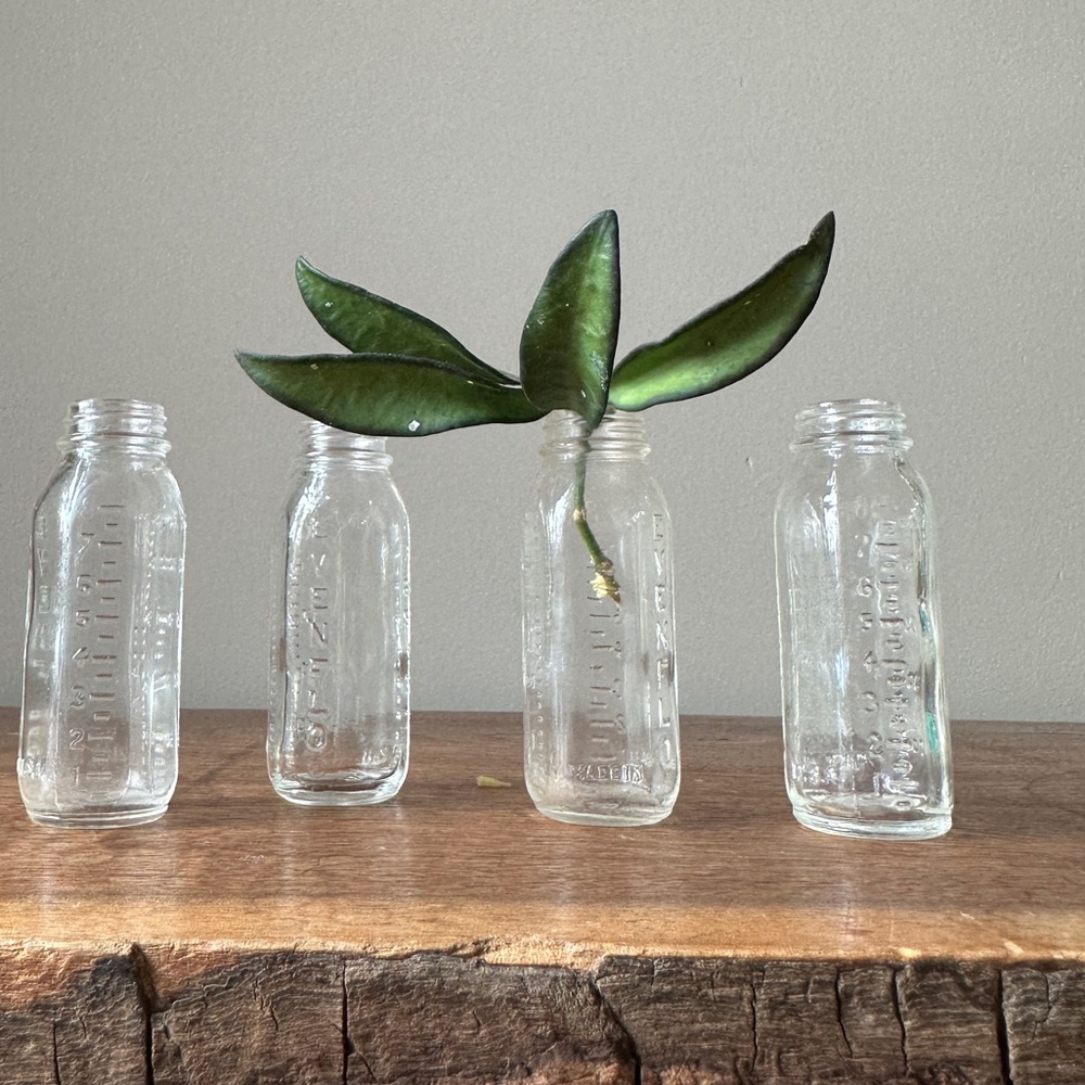 Vintage Glass Bottles Evenflow Baby Doll Accessories Glass Propagation Set of 4 - Picture 1 of 5